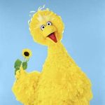 Christian Parents Beware: Sesame Street Will Teach Your Children Yoga