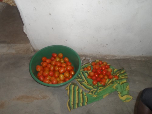 Some of the tomatoes that Widow Lewnida is selling. 