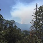 Forest Fire Prayer Request for Warren Smith