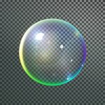 A Day of Observations of Life in the Bubble