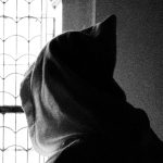 Guest Post: Albert Mohler Gives Air Time to Author of “The Benedict Option” (A Monastic/Catholic Promoting Book)