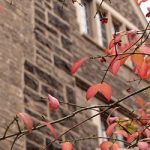 Letter to the Editor: My Christian University Professor Graded Harshly for Mentioning Lighthouse Trails