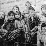 “High school principal: I can’t say Holocaust is factual, historical event”