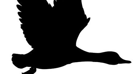 “Liberal Christians Gather at Wild Goose Festival to Pray — and Plan”