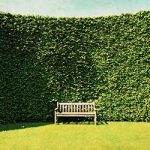 Hedged In!