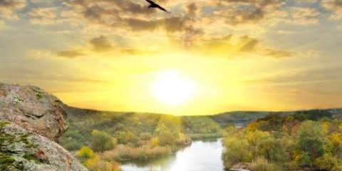 Letter to the Editor: Calvary Chapel, Calvinism (And Created to Choose and Reason)