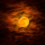 Castles in the Sand visits New Moon Vampire Flick