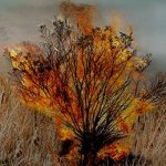 Jesus Set Aside Divinity, Empty of Divine Capacity (Bill Johnson Sermon)