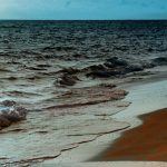 The “Kingdom of God” in the Emerging Church: A Theology of Despair and Hopelessness