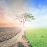 “Climate Scientists Say We Should Embrace Higher CO2 Levels”