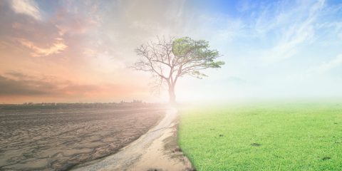 “Climate Scientists Say We Should Embrace Higher CO2 Levels”