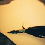 Lighthouse Trails 2024 YEAR-IN-REVIEW – Part I: Top 5 Letters to the Editor