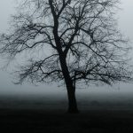 Spiritual Formation—A Dangerous Substitute for the Life of Christ